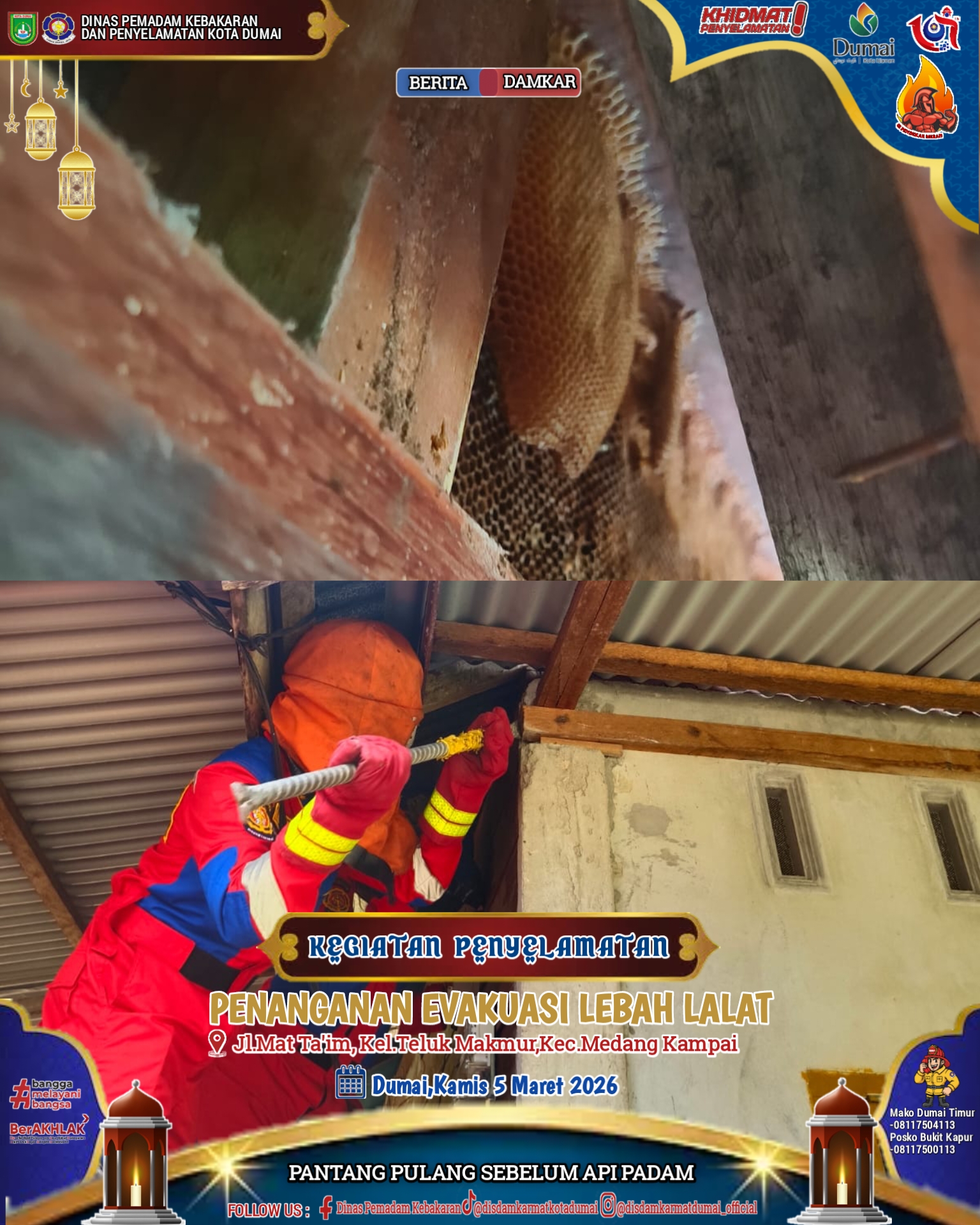 Evakuasi Lebah Lalat