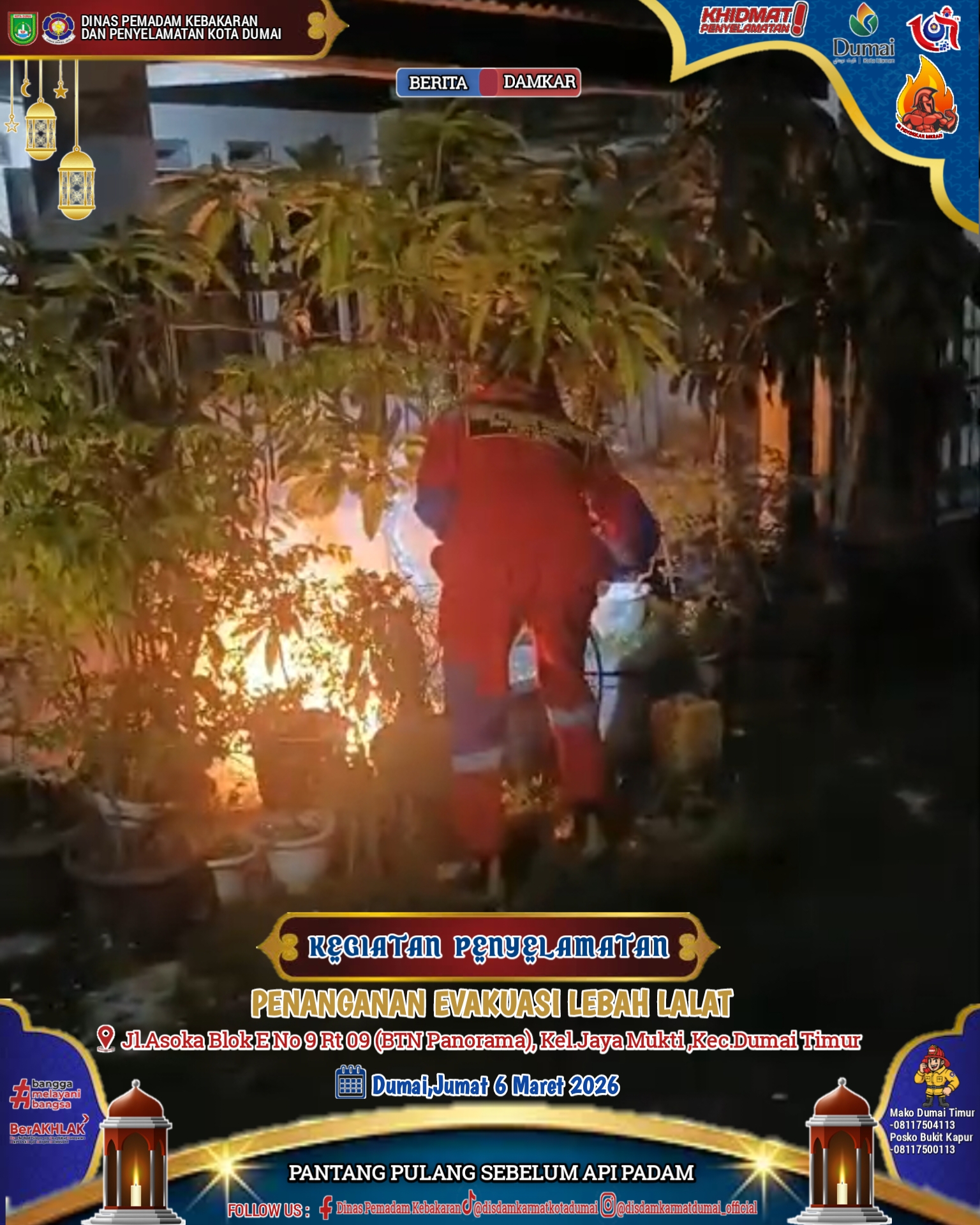 Evakuasi Lebah Lalat