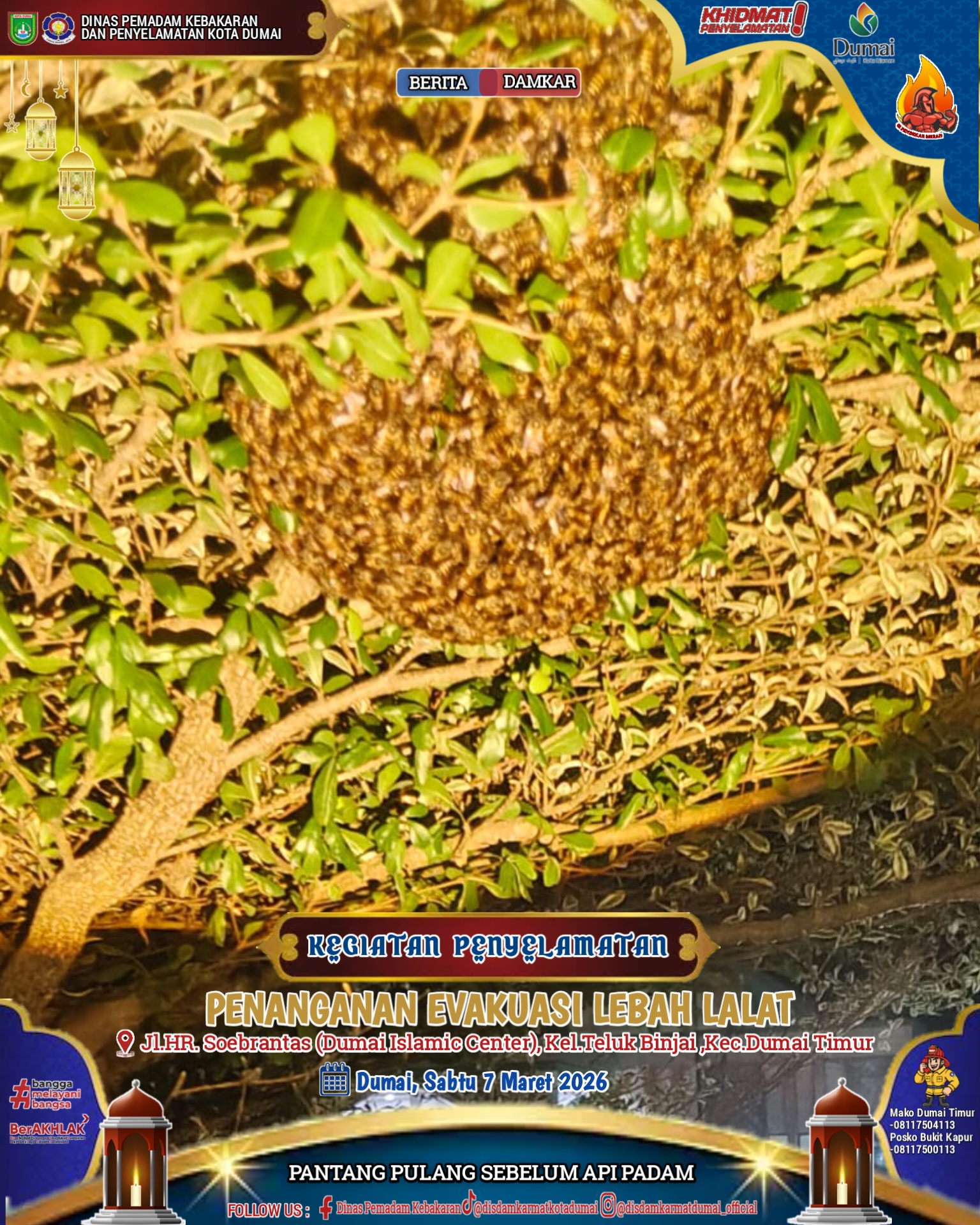 Evakuasi Lebah Lalat