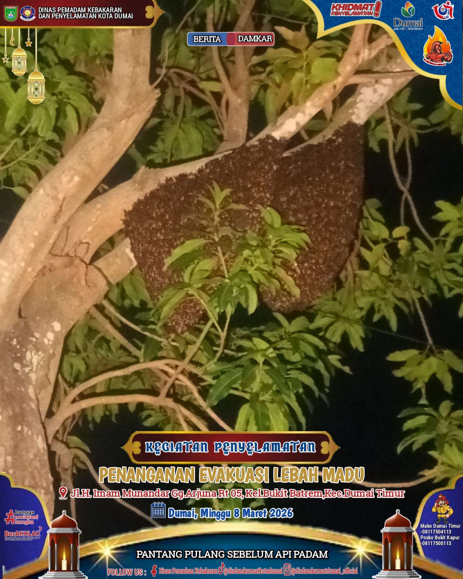 Evakuasi Lebah Lalat