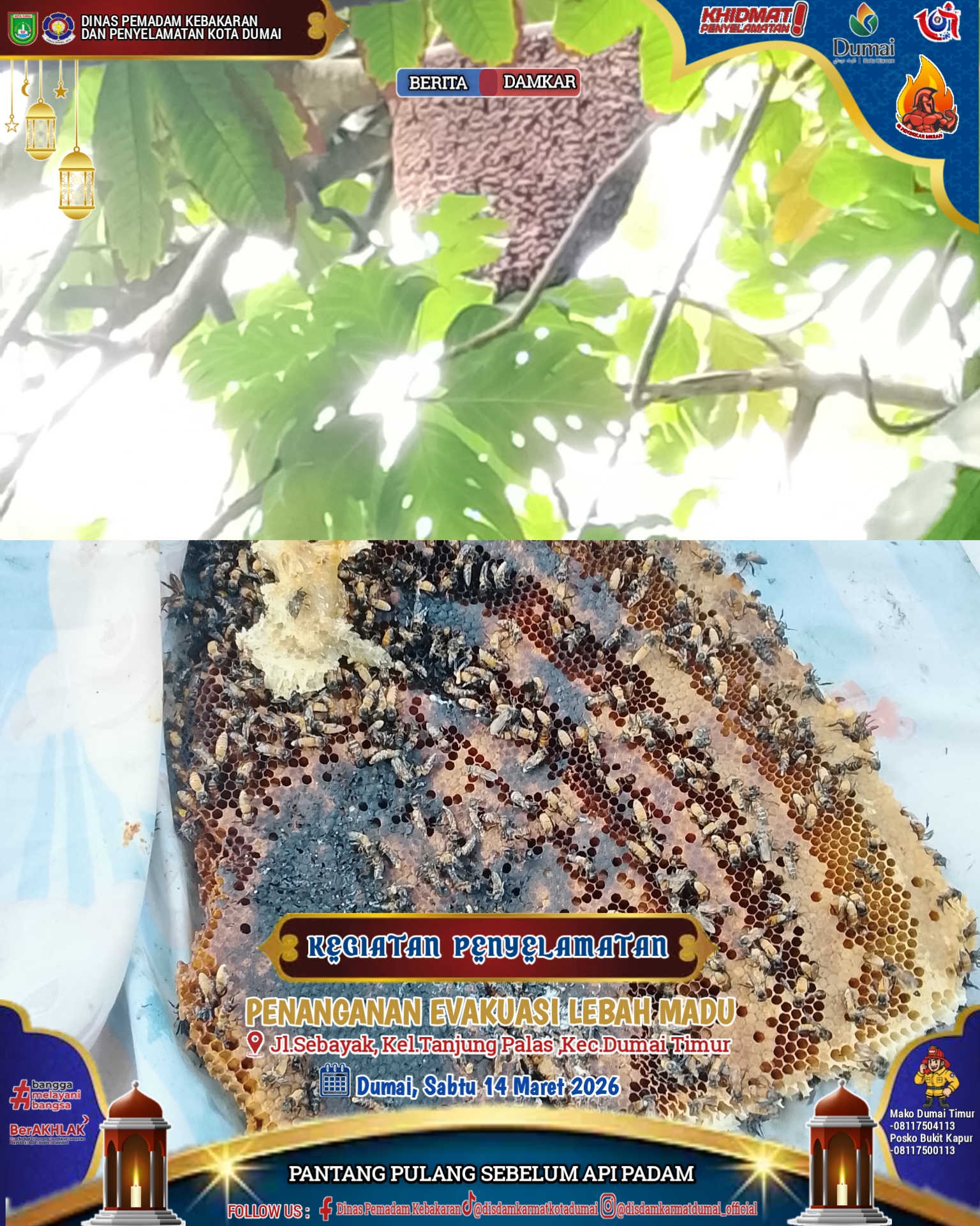 Evakuasi Lebah Madu