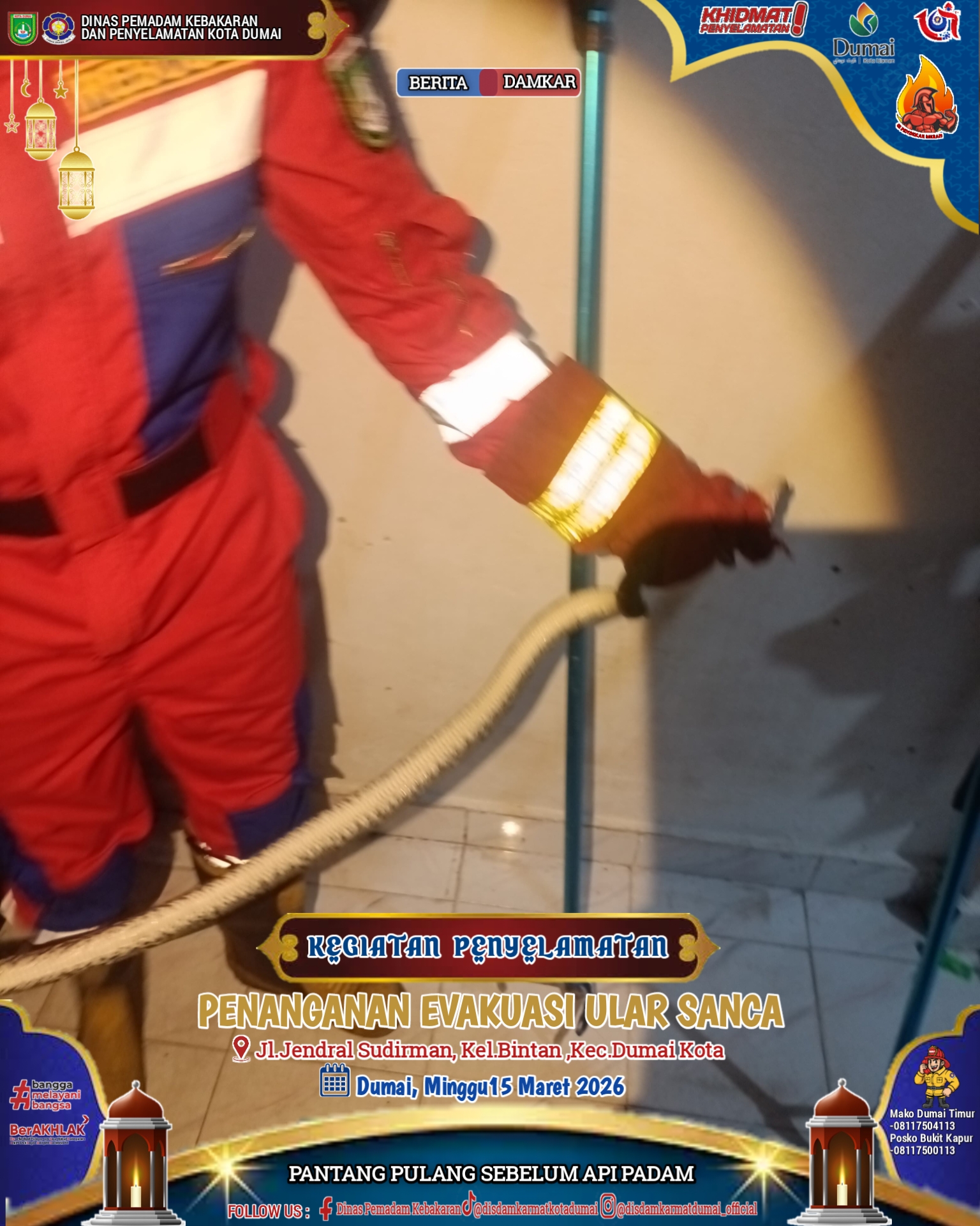 Evakuasi Ular Sanca