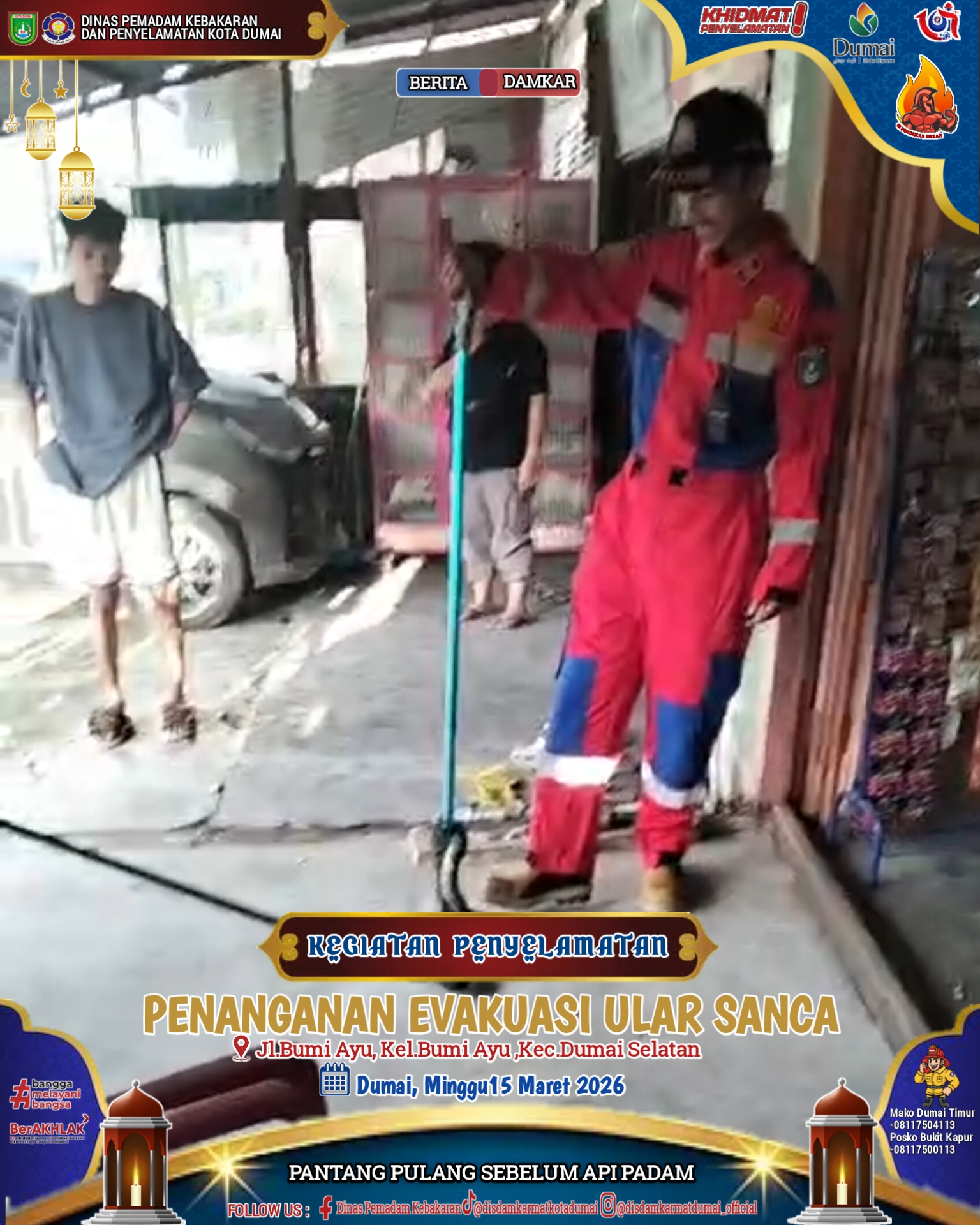 Evakuasi Ular Sanca