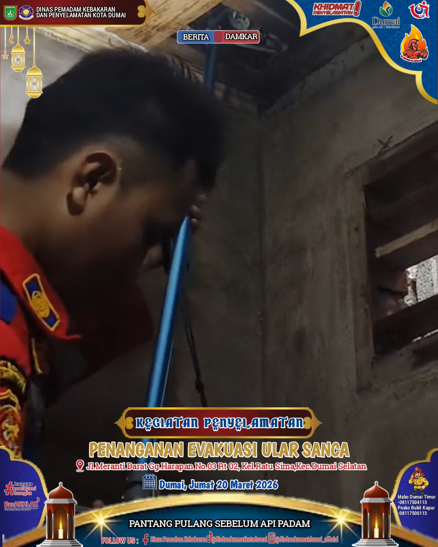 Evakuasi Ular Sanca