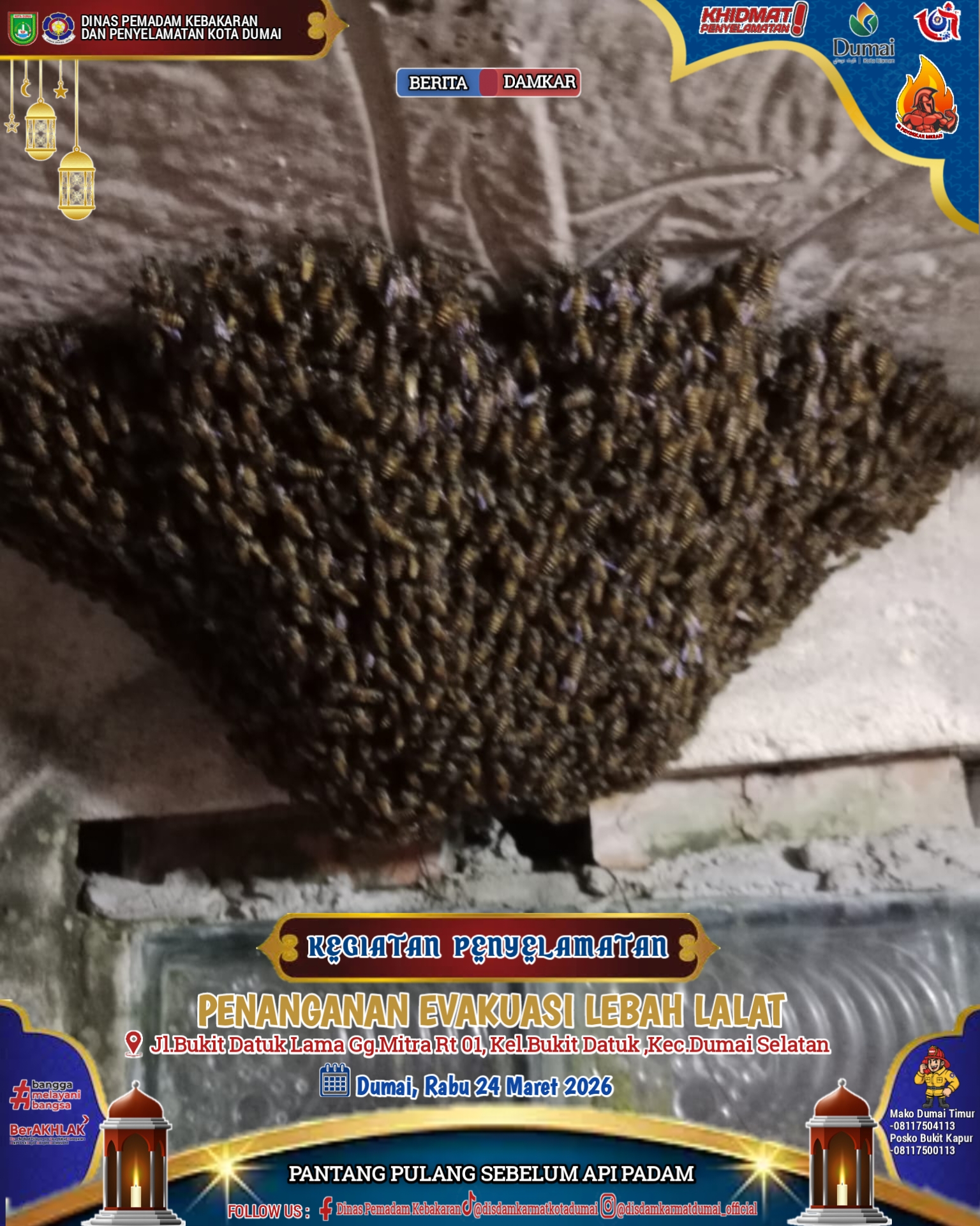 Evakuasi Lebah Lalat