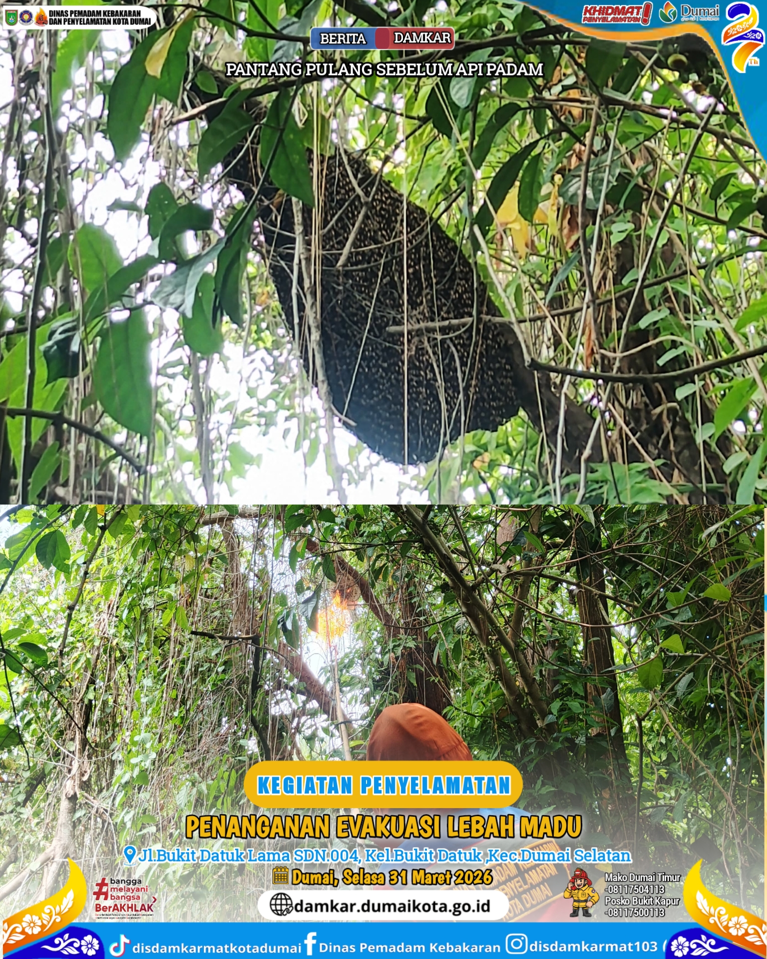 Evakuasi Lebah Madu
