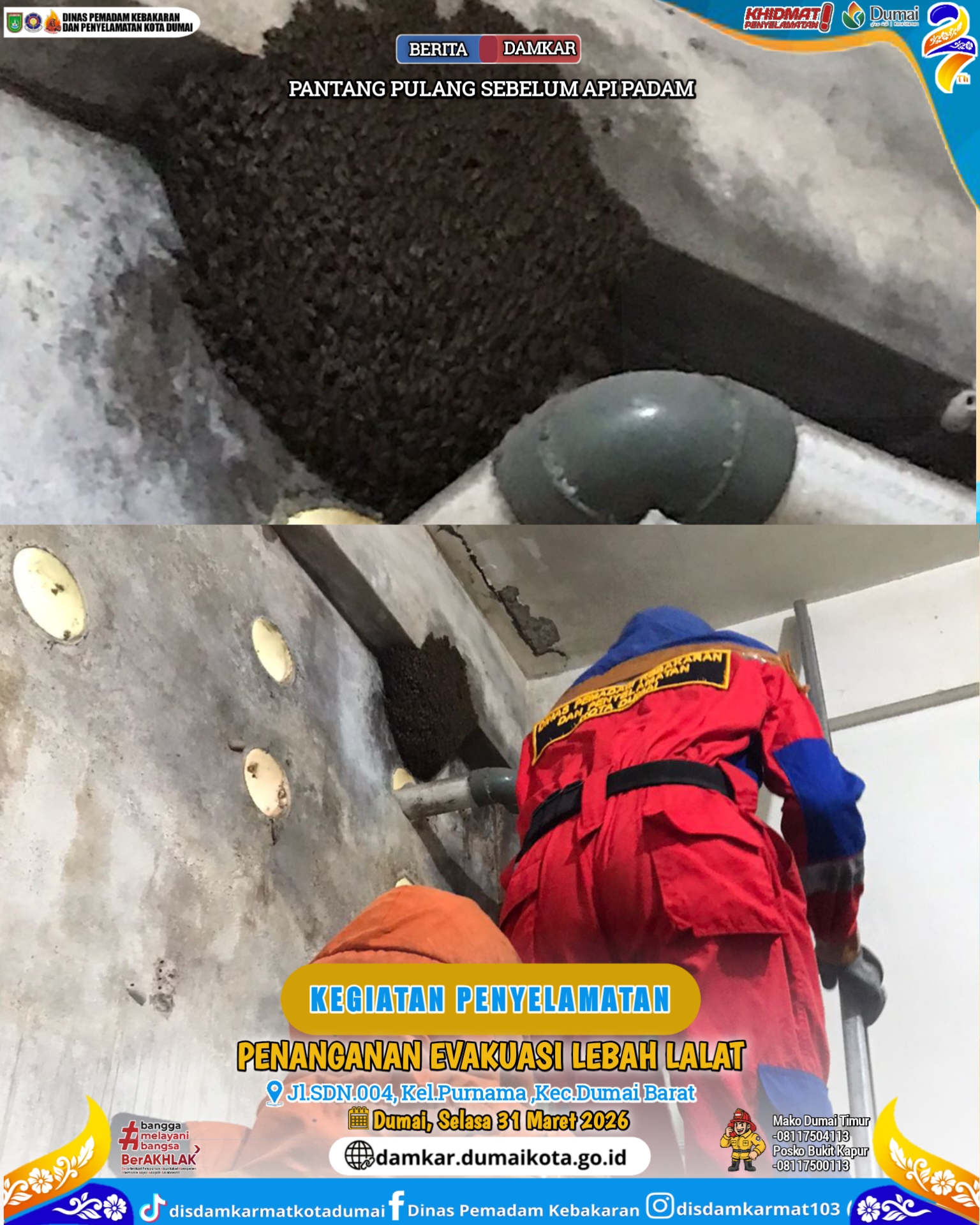 Evakuasi Lebah Lalat