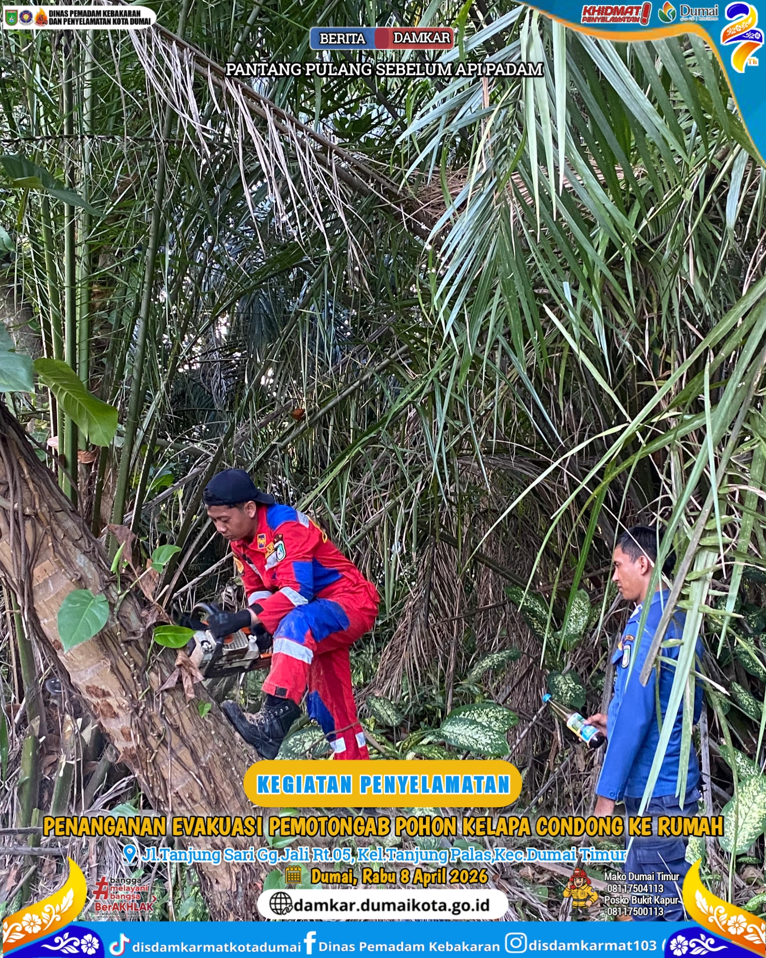 Evakuasi Pohon Tumbang