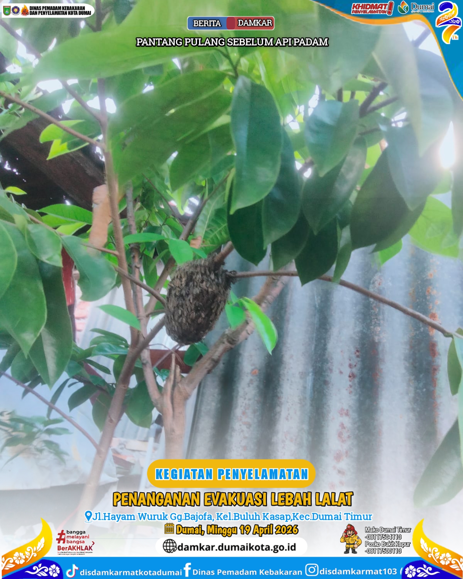 Evakuasi Lebah Lalat
