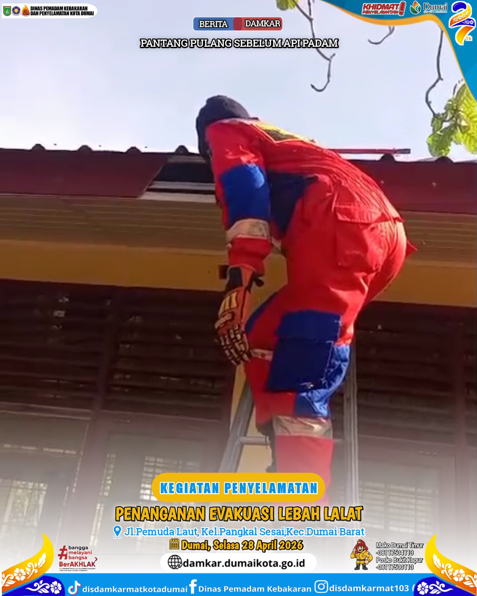 Evakuasi Lebah Lalat