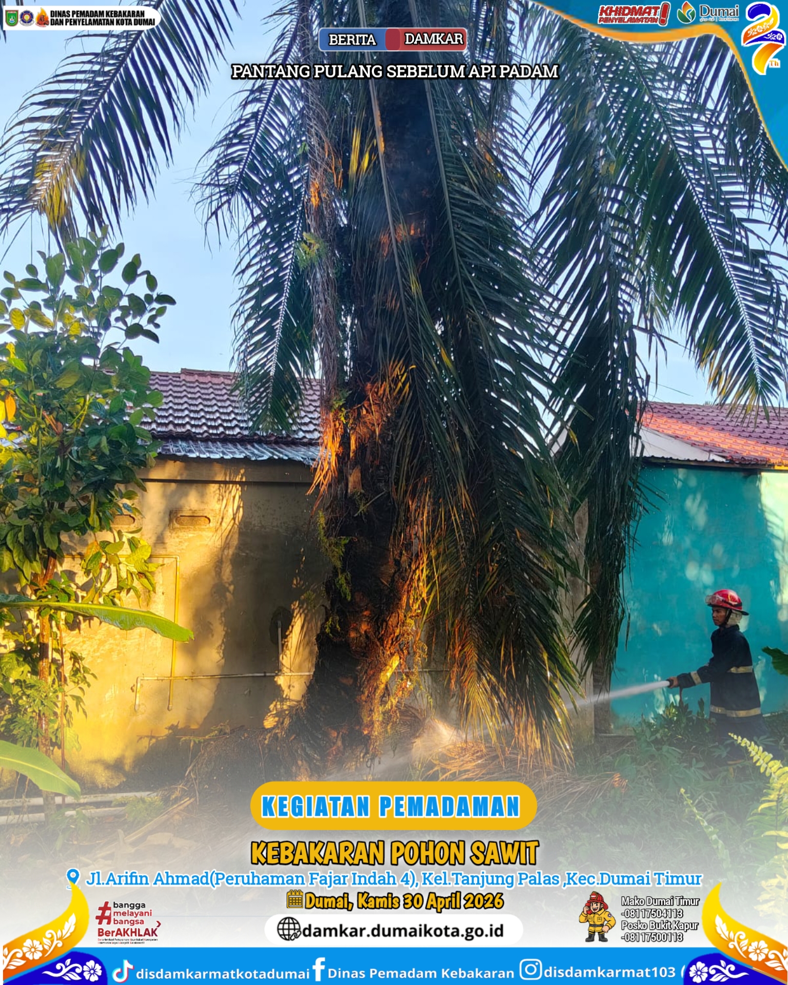 Kebakaran Pohon Sawit