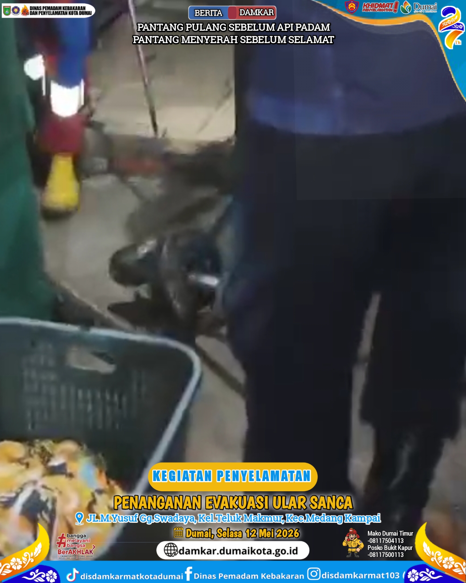Evakuasi Ular Sanca