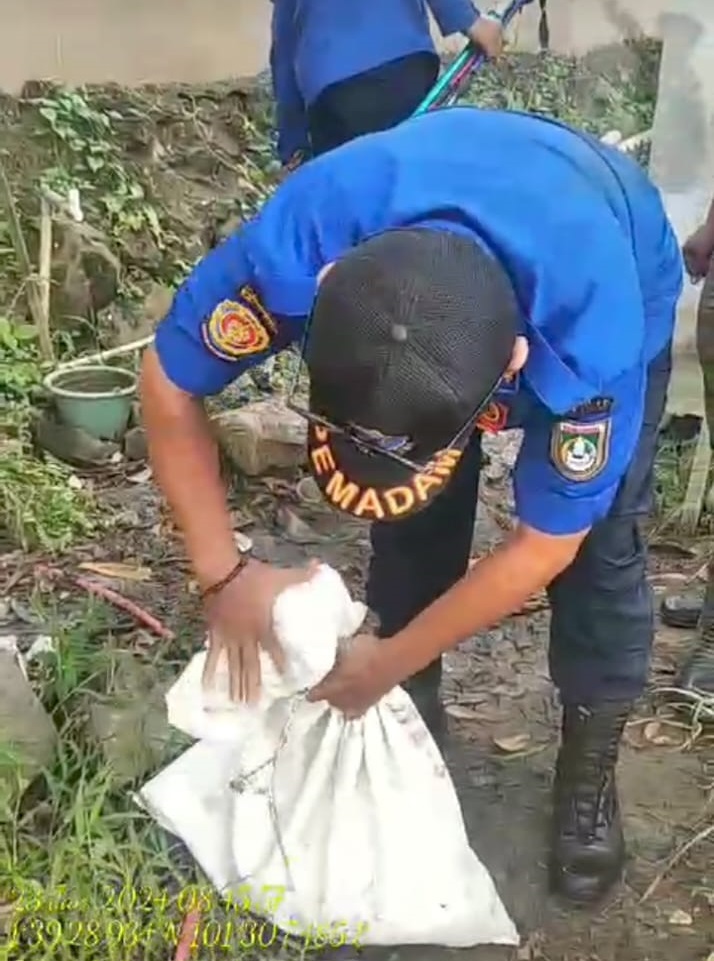 Kegiatan Evakuasi Ular